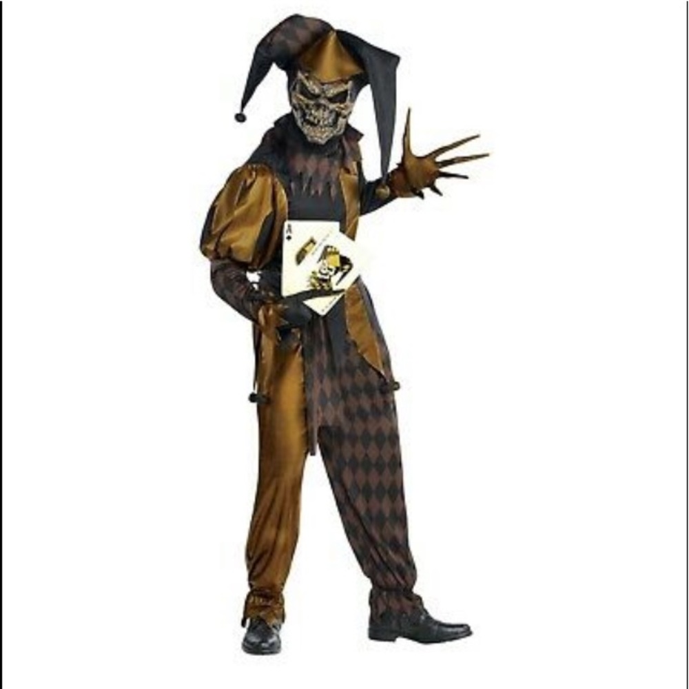 FIRM PRICE- like new Adult  jockers are wild halloween costume